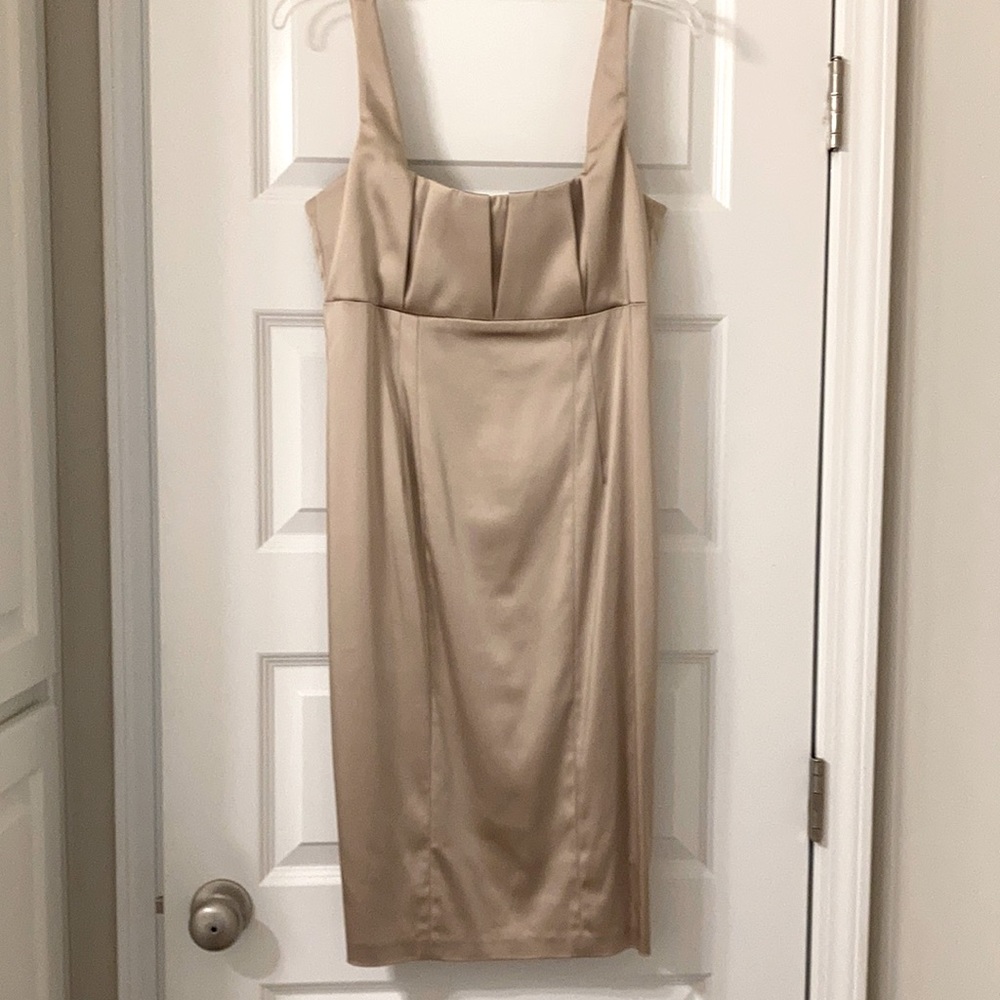 Calvin Klein champagne dress